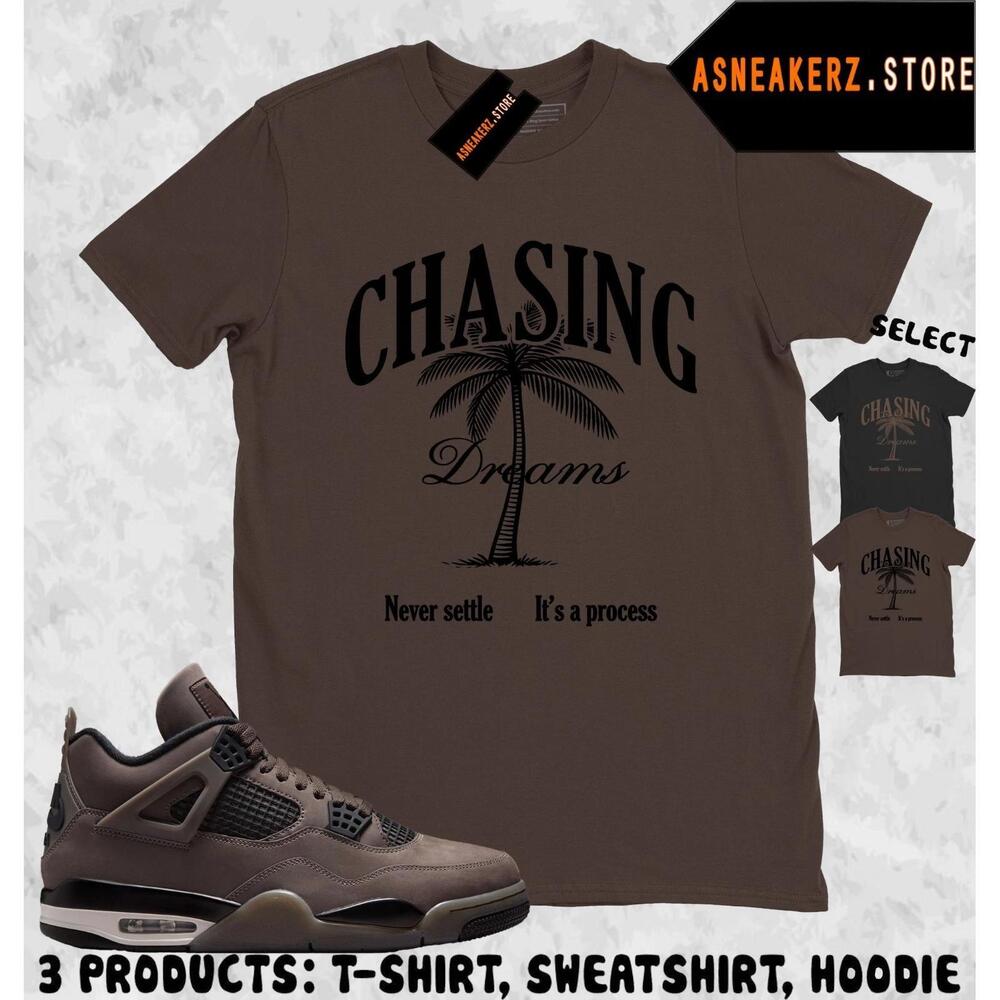 Shirt To Match Aj 4 Cave Stone Matching Tee Chasing Dreams T-Shirt